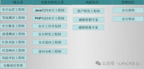 網(wǎng)絡(luò)安全專(zhuān)家與信息安全畢業(yè)生就業(yè)分析 聚焦網(wǎng)絡(luò)與信息安全軟件開(kāi)發(fā)